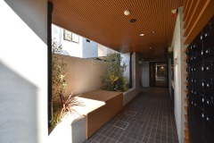 renovation8